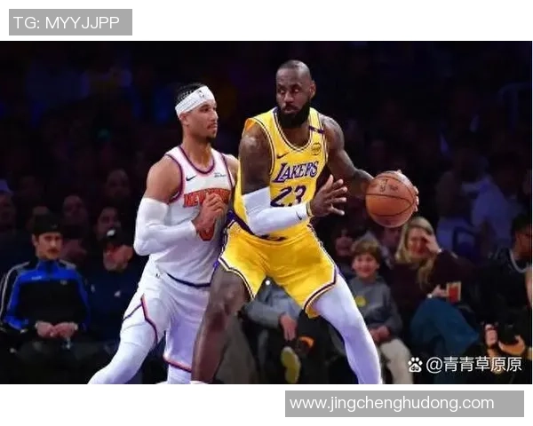 2020年NBA总决赛湖人与热火的巅峰对决与精彩瞬间回顾