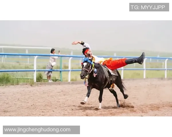 阿里萨利马与梅加激战正酣谁将赢得这场巅峰对决