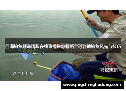 四海钓鱼频道精彩在线直播带你领略全球各地钓鱼风光与技巧