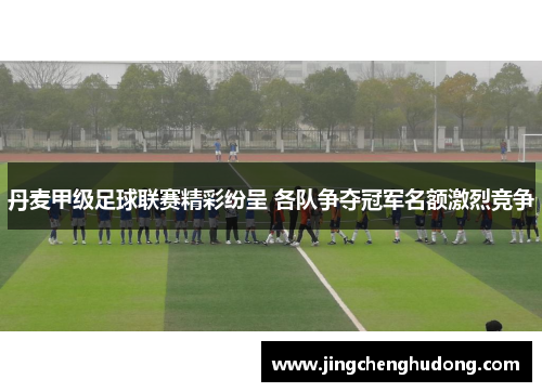 丹麦甲级足球联赛精彩纷呈 各队争夺冠军名额激烈竞争